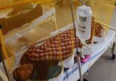 پنجاب میں ڈینگی وائرس نے مزید 3 مریضوں کی جان لے لی، جاں بحق افراد کی تعداد 47 ہوگئی