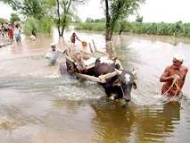 ڈی آئی خان، موسلادھار بارش میں پی ٹی آئی حکومت کی کارکردگی بہہ گئی