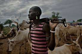 أكثر من 100 قتيل في جوبا بهجوم لسرقة ماشية