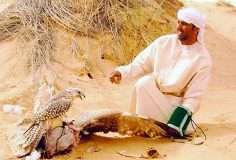 سعودی شہزادے نے بطور شغل 2ہزار سے زائد نایاب پرندوں کا شکار کر ڈالا