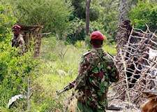 کینیا، عسکریت پسندوں کے حملوں میں 29 افراد ہلاک