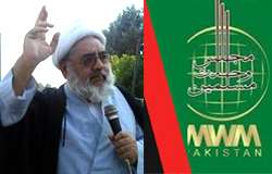 ایم ڈبلیو ایم ملت تشیع کو قومی دھارے میں واپس لانے میں کامیاب ہو گئی ہے، مولانا شیخ حسن صلاح الدین