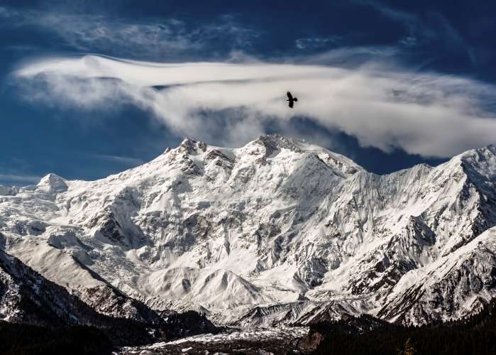 نانگا پربت دنیا کی نویں اور پاکستان کی دوسری سب سے اونچی چوٹی ہے، اس کی اونچائی 8125 میٹر ہے اور اسے دنیا کا