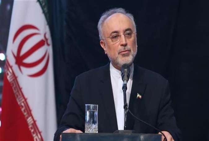 The head of the Atomic Energy Organization of Iran, Ali Akbar Salehi
