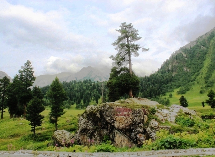 گلگت بلتستان، ضلع استور کا علاقہ دمیل کا منظر