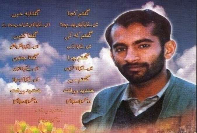 شہید علی ناصر صفوی ایک سربستہ راز