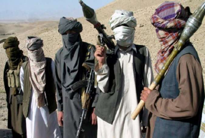 درخواست طالبان از رییس جمهور جدید آمریکا