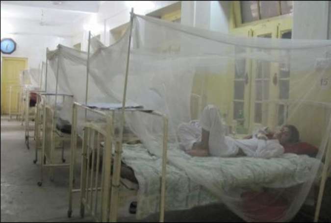 پشاور، ڈینگی نے ایک شخص کی جان لے لی، ضلع بھر میں دفعہ 144 نافذ