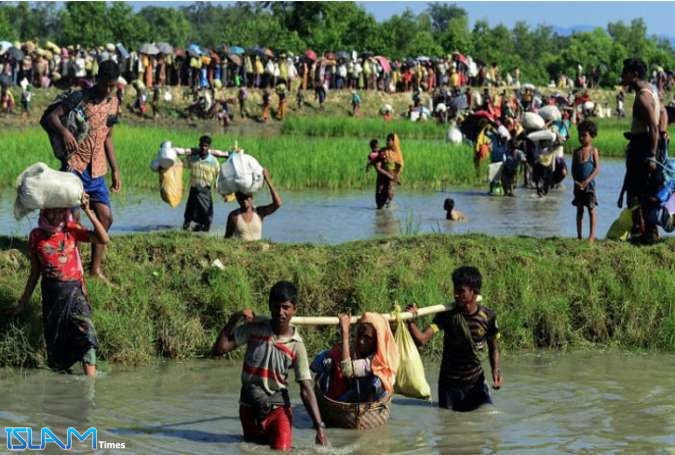 Rights groups urge intl. monitoring of Rohingya’s return