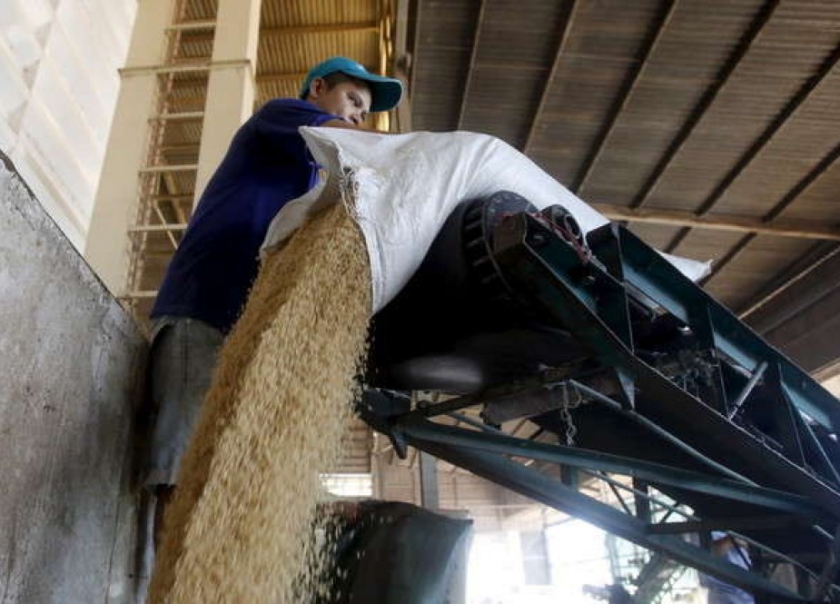 مصر تعلن البدء باستيراد الأرز
