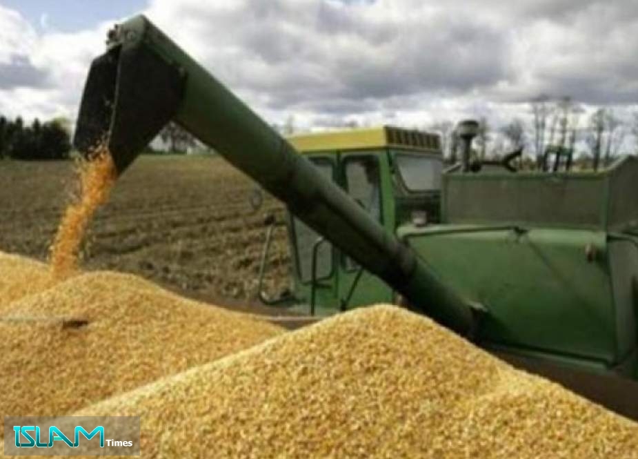 مشتريات إيران من القمح المحلي تقترب من 8 ملايين طن