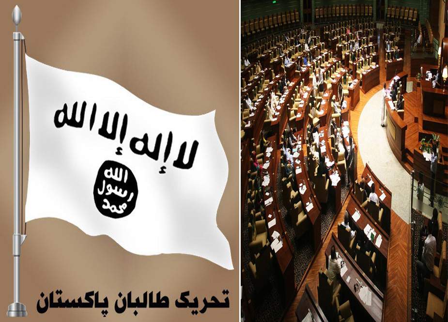 کالعدم تحریکِ طالبان سے مذاکرات، سندھ اسمبلی میں وفاقی حکومت کیخلاف قرارداد منظور
