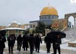 Pemukim Zionis Menyerang Masjid Al-Aqsa