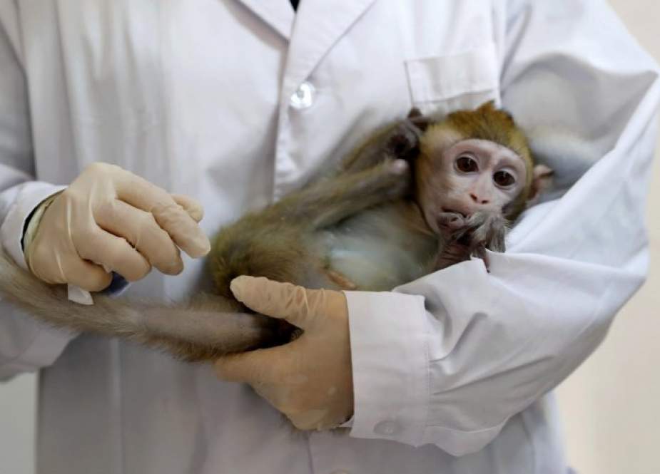 أستراليا.. تسجيل أول حالة إصابة محتملة بجدري القرود