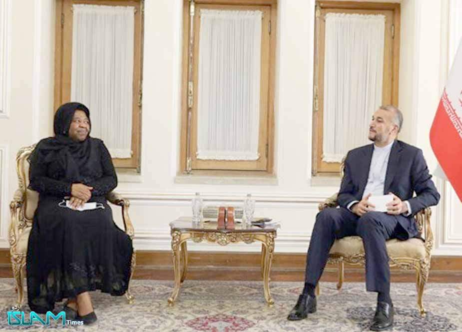 تہران، جنوبی افریقہ کی ڈپٹی وزیر خارجہ کی ایرانی وزیر خارجہ کیساتھ ملاقات