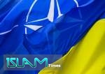 Kiyev rəsmisi: Biz artıq NATO-ya üzv olmağa can atmırıq