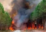 Wildfires Rage in France, Thousands Evacuated from Homes