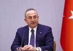 Turkey Says Cannot Accept Decision by Donbass Republics, Two More Regions to Join Russia