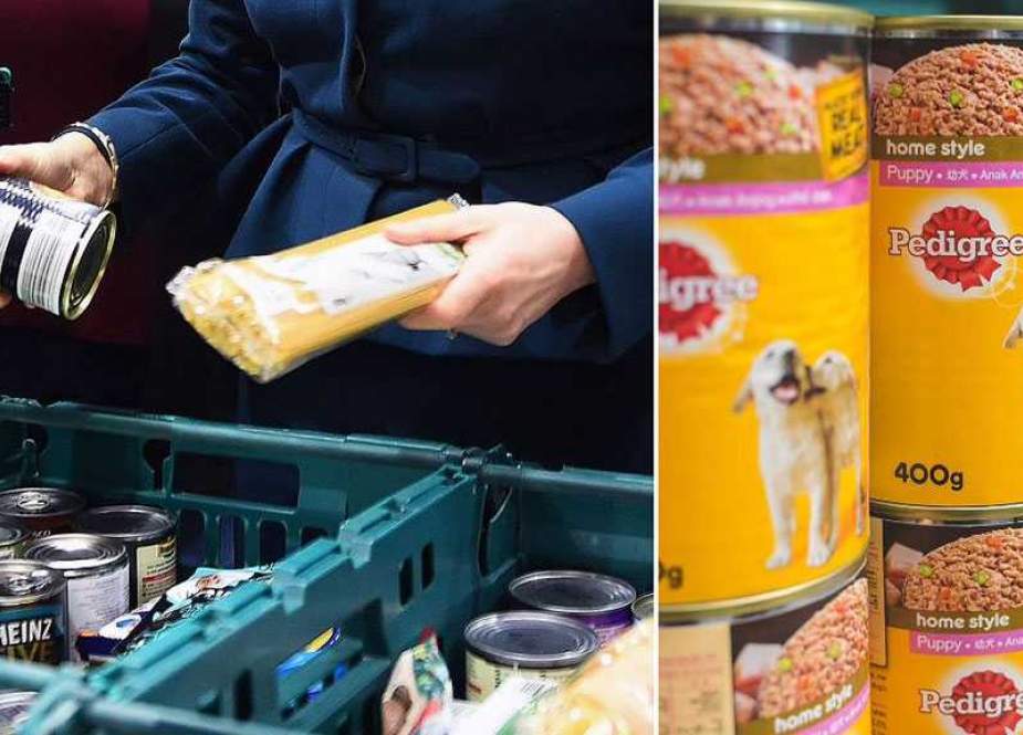 Warga Inggris Beralih ke Makanan Hewan di tengah Krisis Biaya Hidup