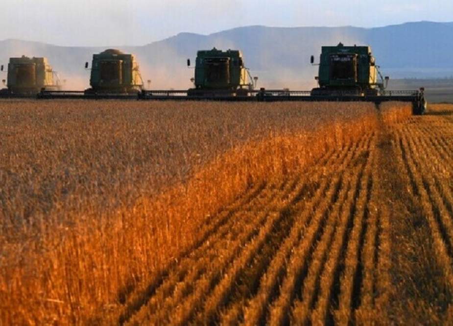 موسكو: مستعدون لتعويض الحبوب الأوكرانية بالكامل للبلدان المحتاجة