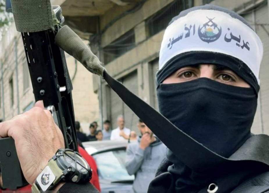 فلسطین میں روز بروز شدید ہوتی مسلح اسلامی مزاحمت