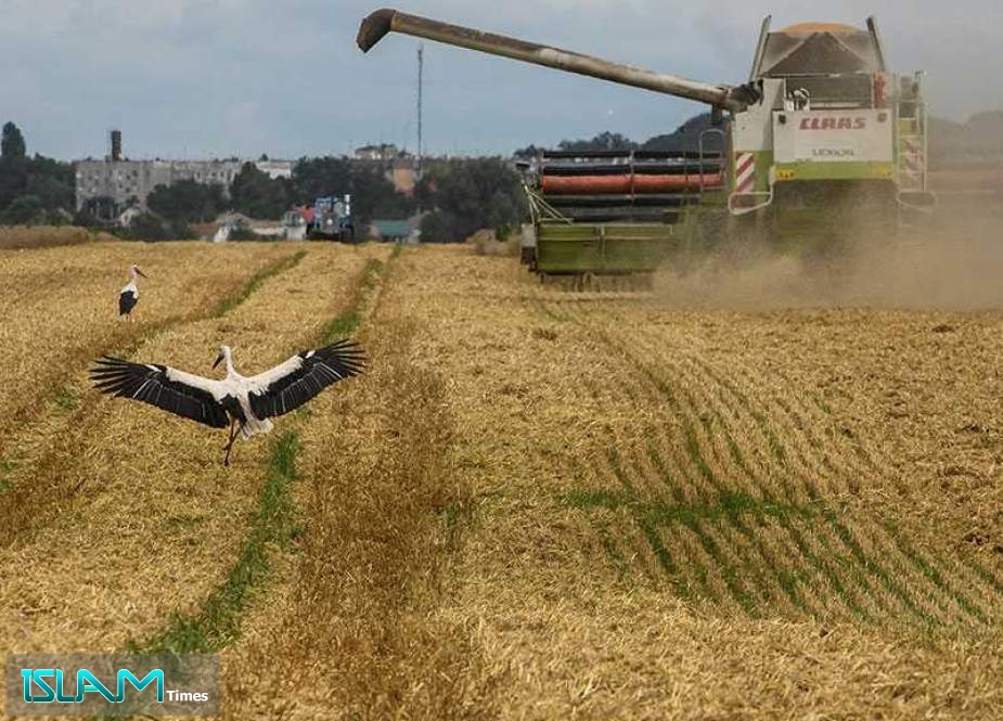 Ukraine Grain Deal Renewed: Official