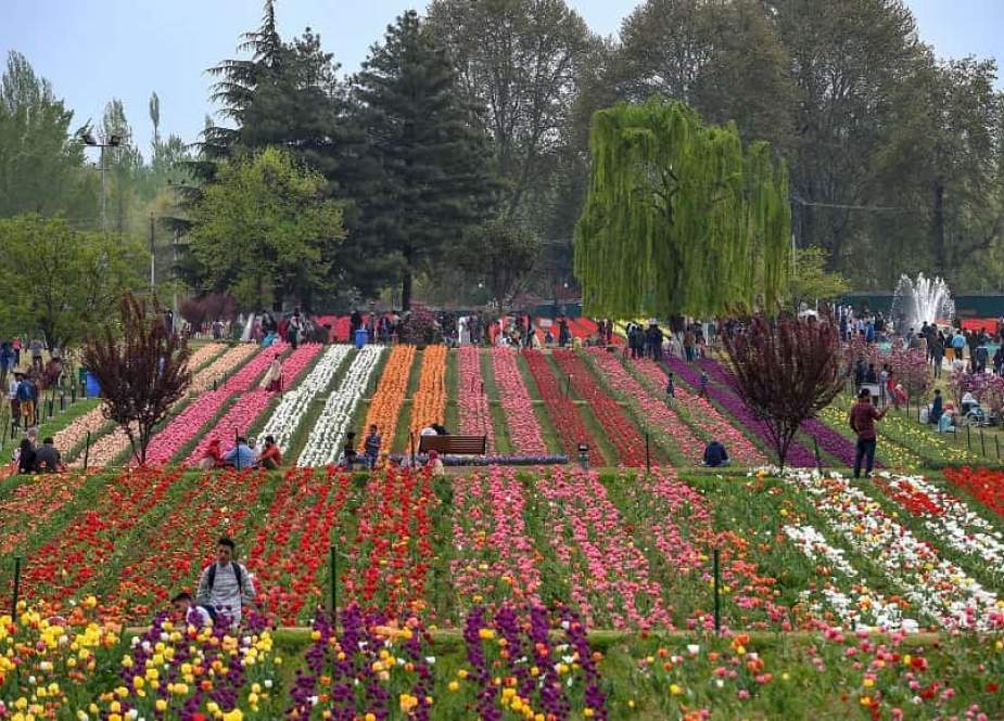 کشمیر میں ایشیاء کا سب سے بڑا باغ گل لالہ سیاحوں کیلئے تیار