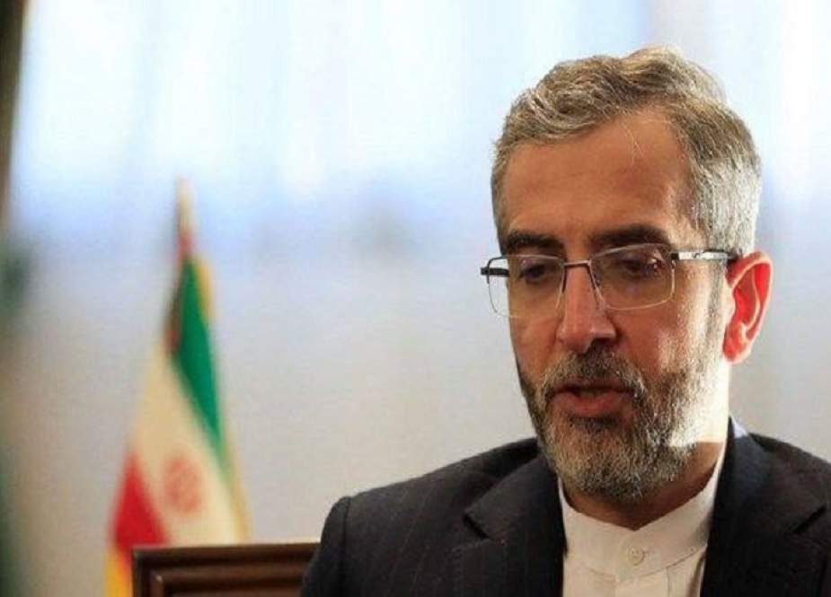 باقري: سياسة إيران تجاه الجوار مؤشر على إرساء السلام في المنطقة