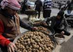 Teroris Daesh Memenggal 15 Pemburu Truffle di Suriah, 40 Hilang