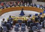Moscow: UNSC Vote on Russian Resolution Fuels Suspicions
