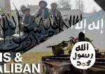 دوگانه داعش و طالبان در افغانستان