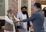 اقدام دیپلماتیک چین در معرفی سفیر به حکومت طالبان؛ پیام‌ها و پیامدها
