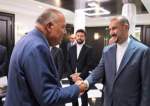 Pertemuan antara Diplomat Iran dan Mesir ‘Sangat Baik dan Positif’
