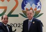 أردوغان يتسلم أوراق أول سفير مصري في تركيا منذ 10 سنوات