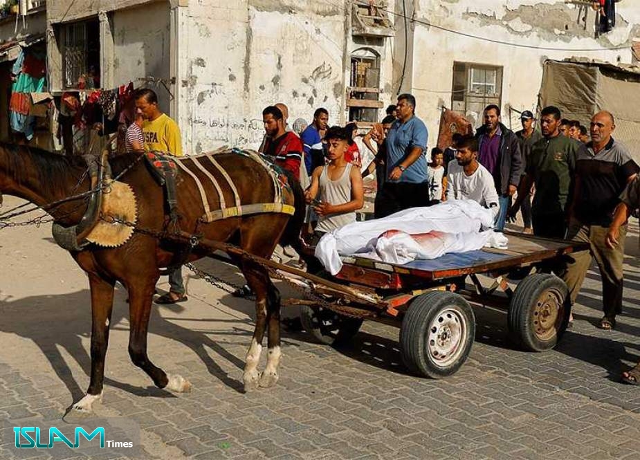 In Gaza, People Replace Cars with Animal-drawn Carts Amid Absence of Fuel