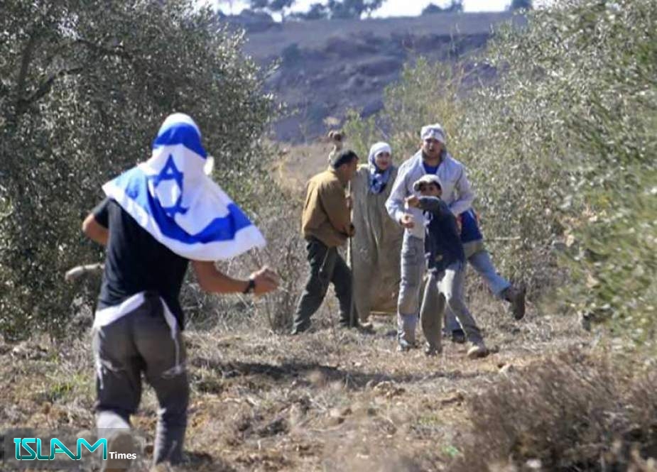 ‘Israeli’ Settlers Steal Palestinian Farmers’ Land in Occupied West Bank