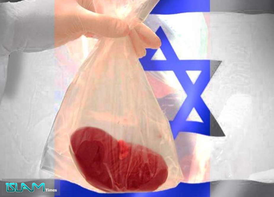 Israelis Stealing Body Organs of Palestinians Killed in War: European Monitor