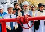 استخراج نفت خام شرکت چینی در افغانستان ۳ برابر افزایش یافت
