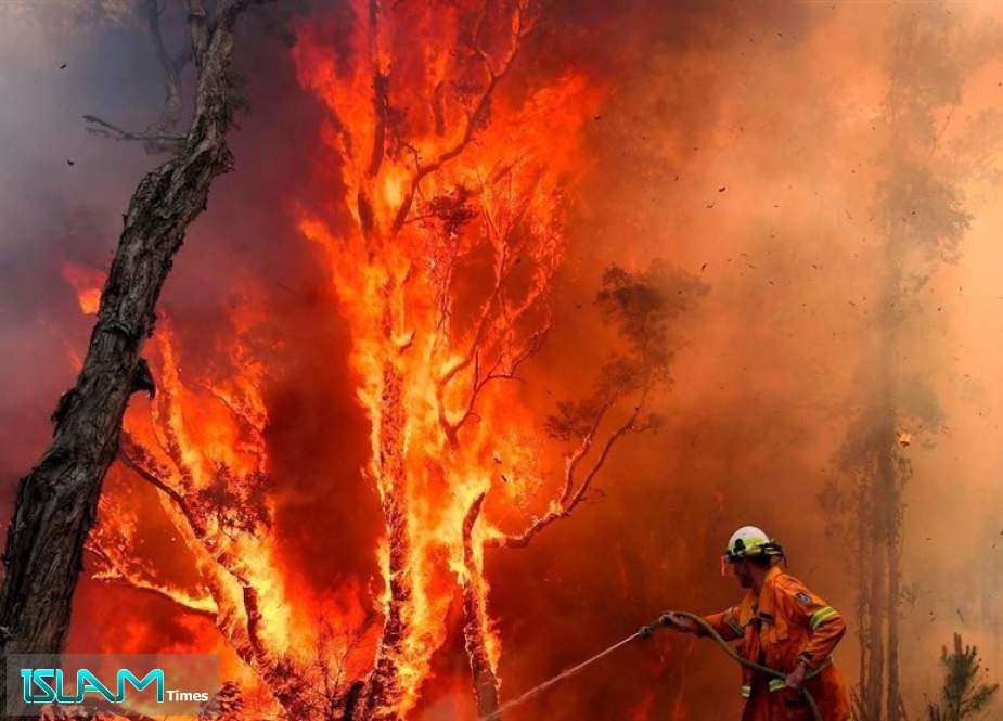 Australia Sweats in Heatwave, Lifting Bushfire Risk amid El Nino