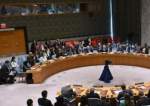 Arab League, OIC, and Egypt condemn US veto of Gaza ceasefire