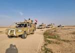 PMF Detains ISIL Element in Iraq