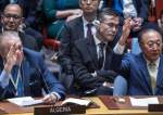 Russia, China Veto US-Drafted UN Resolution on Gaza