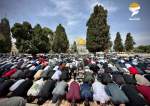 Tens of thousands of Palestinians perform Friday prayers at Al-Aqsa Mosque